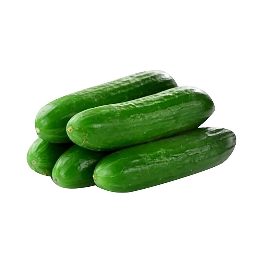 خيار طازج