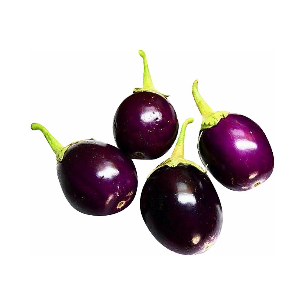 باذنجان صغير