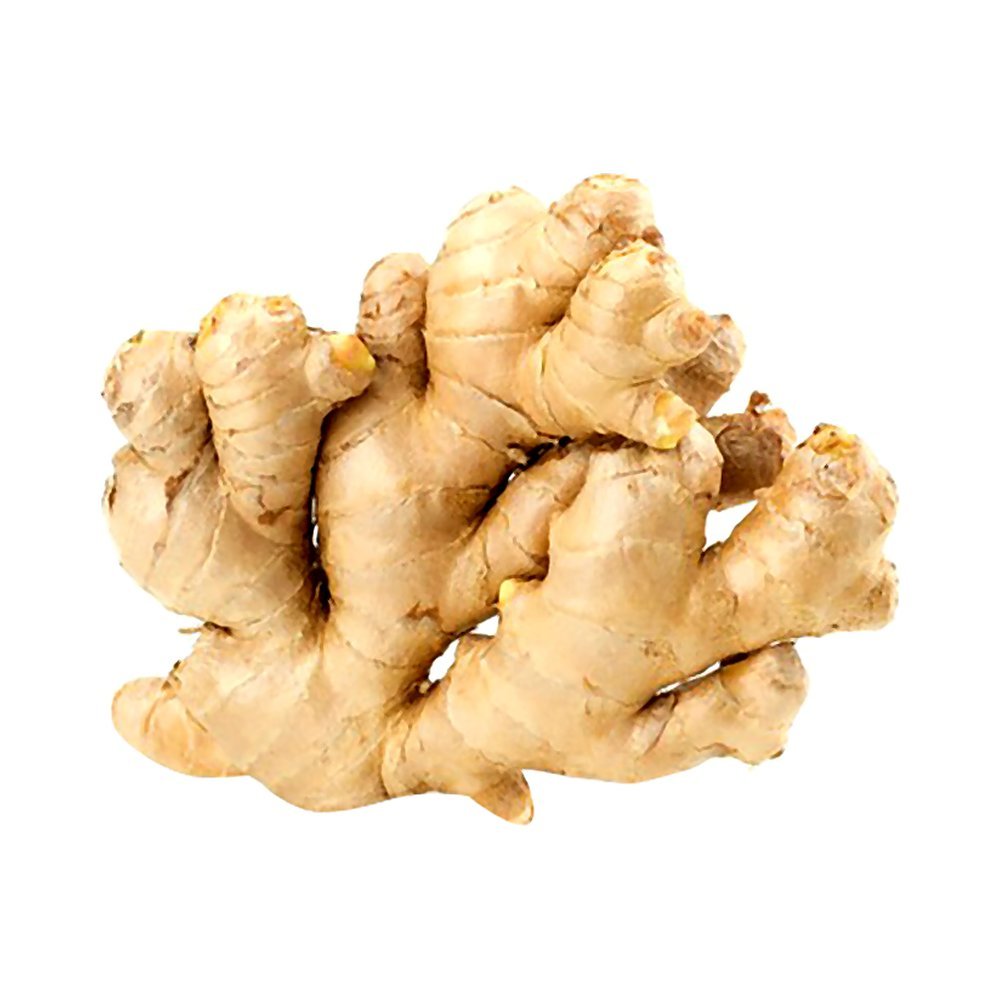 زنجبيل