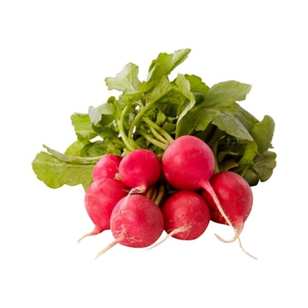 فجل أبيض طازج (حزمة)