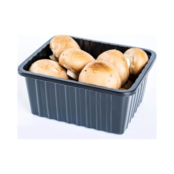 فطر بني (وعاء)