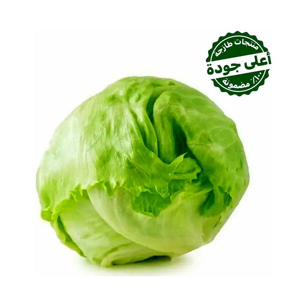 خس أمريكي مستورد 1 حبة