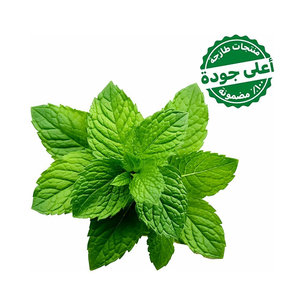 نعناع محلي 1 ربطة