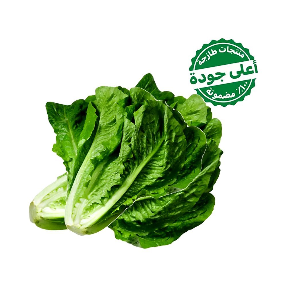 خس روماني محلي 1 حبة