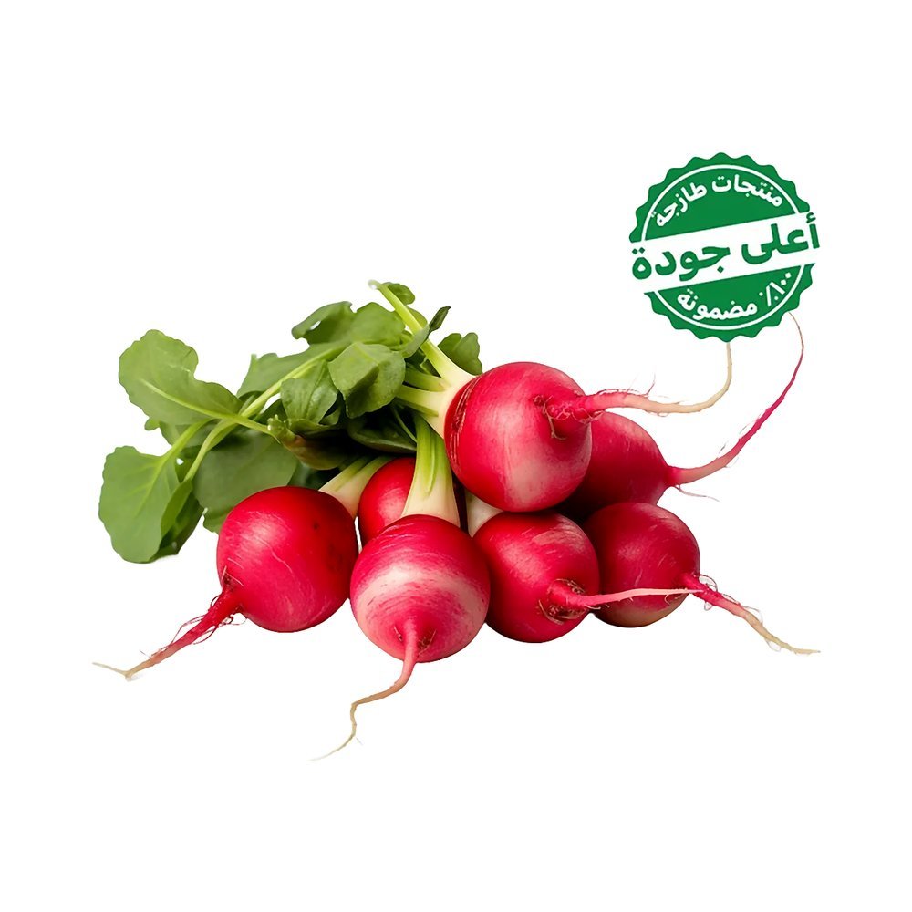 فجل أحمر محلي 1 ربطة