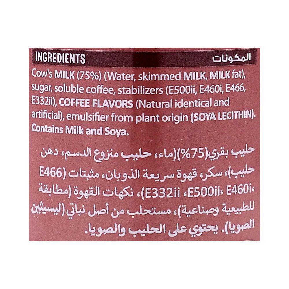 نسكافيه قهوة مثلجة كابتشينو 225 مل