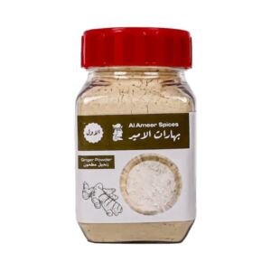 الامير زنجبيل مطحون 90 جم