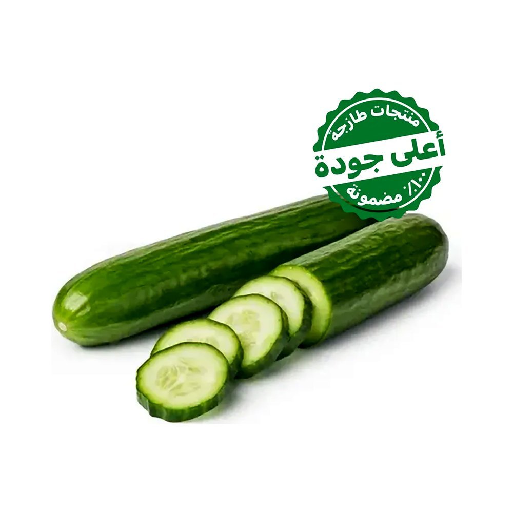 خيار زراعة مائية 1 كجم تقريبًا