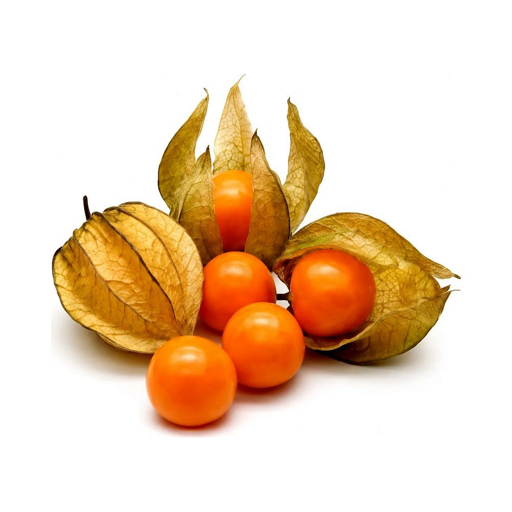 حرنكش كولومبي 1 علبة