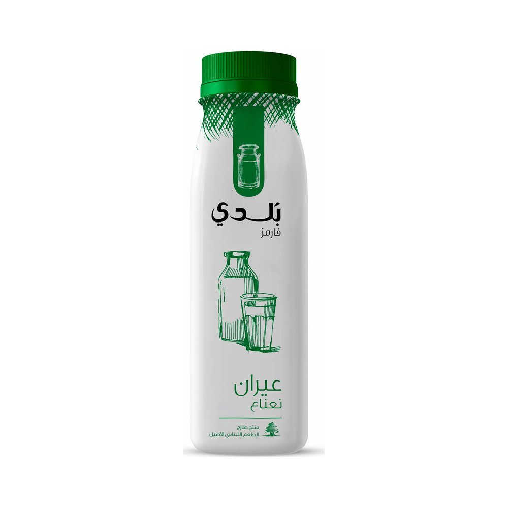 بلدي لبن عيران بالنعناع 225 مل